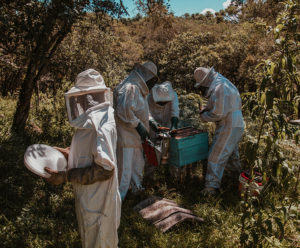 原料へのこだわり