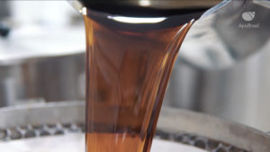 グリーン・プロポリス